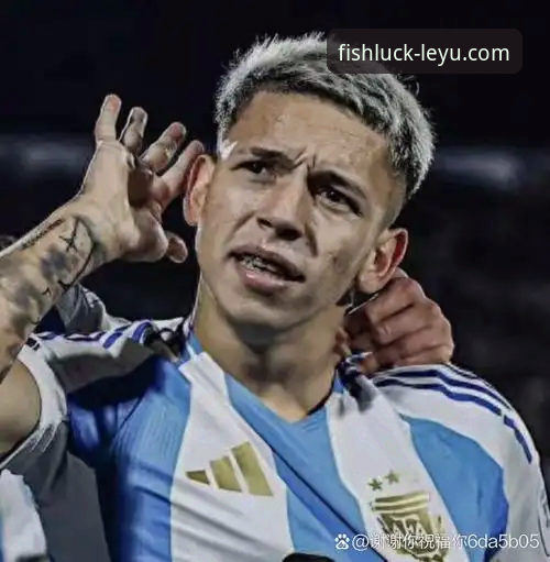 揭秘阿根廷世界杯前最大变数：新星陨落背后的战术与遗憾